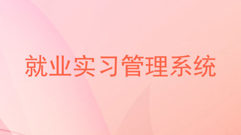 就业实习管理系统