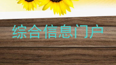综合信息门户