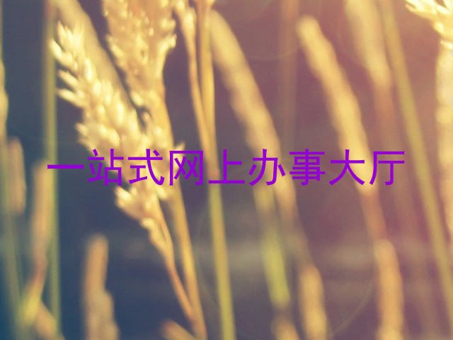 一站式网上办事大厅