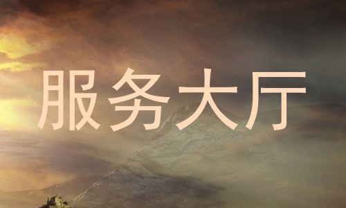 服务大厅