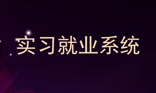 实习就业系统