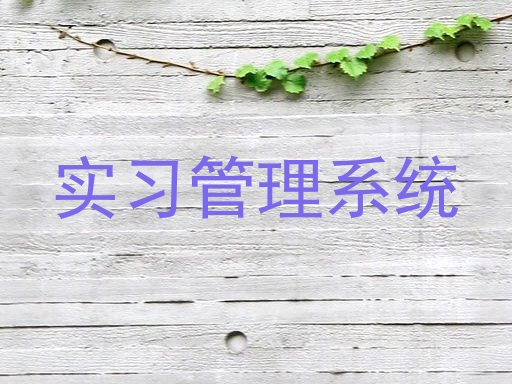 实习管理系统