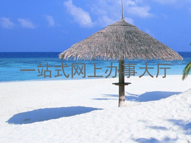 一站式网上办事大厅