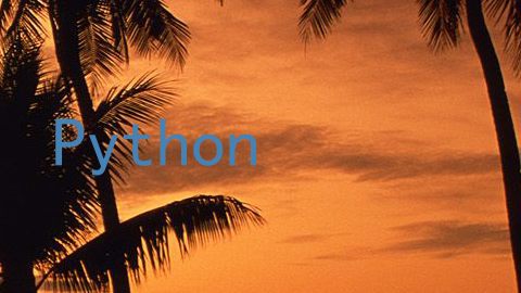 Python