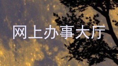网上办事大厅