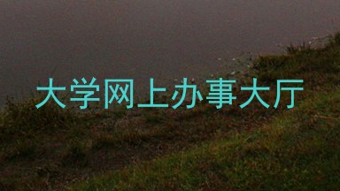 大学网上办事大厅