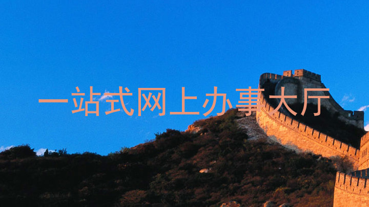 一站式网上办事大厅