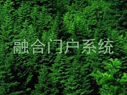 融合门户系统