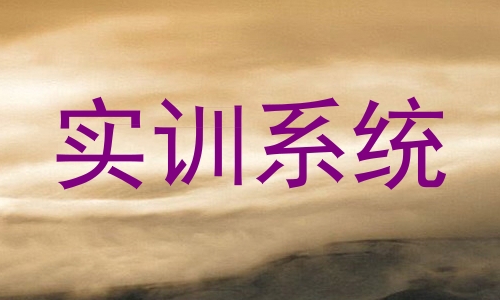 实训系统