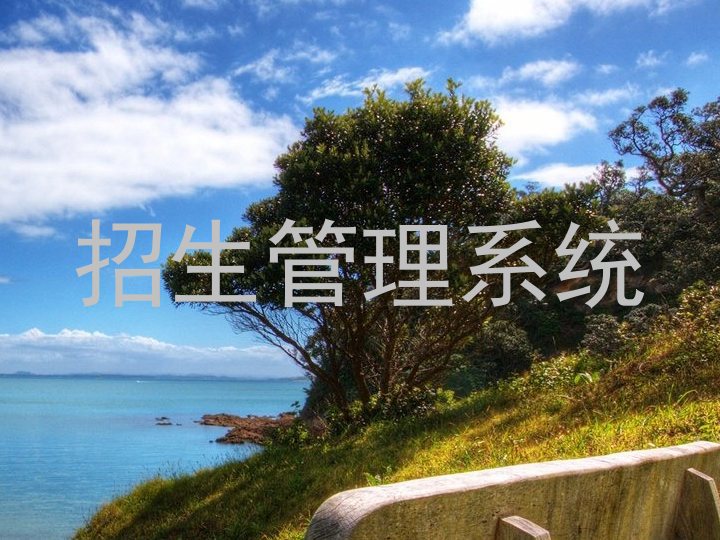 招生管理系统