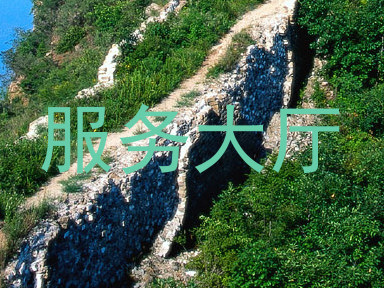 服务大厅