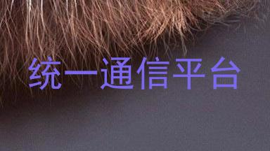 统一通信平台