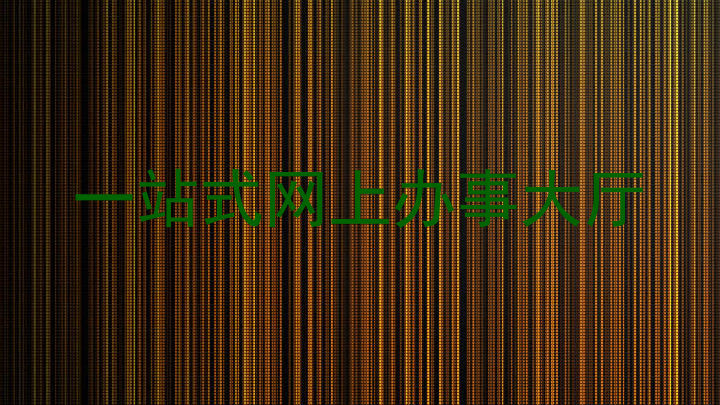 一站式网上办事大厅