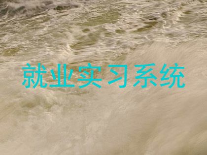 就业实习系统