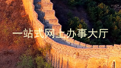 一站式网上办事大厅