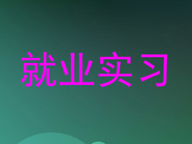 就业实习