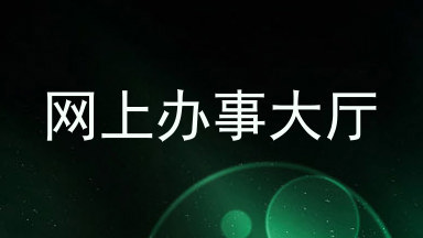网上办事大厅