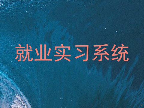 就业实习系统
