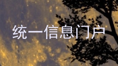 统一信息门户