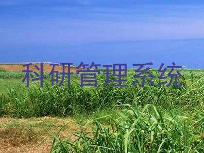 科研管理系统