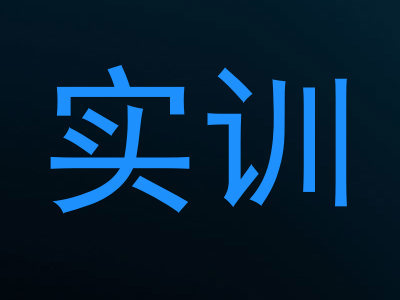 实训
