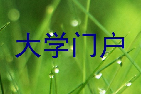大学门户