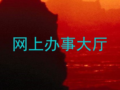 网上办事大厅