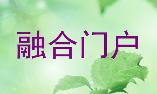 融合门户