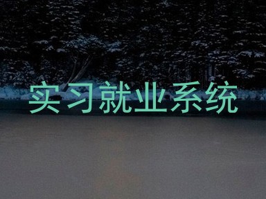 实习就业系统