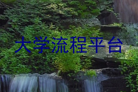 大学流程平台