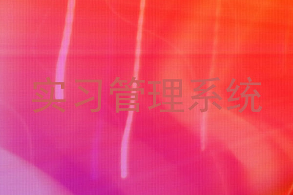 实习管理系统