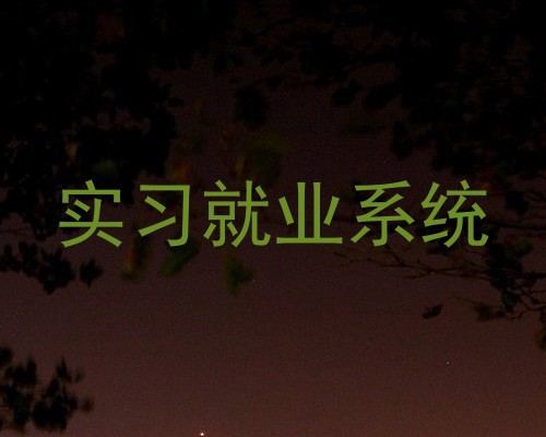 实习就业系统