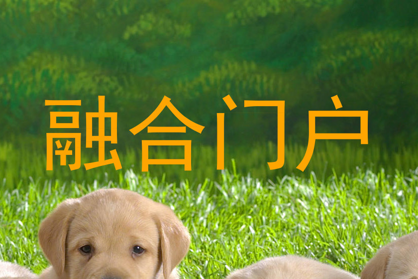 融合门户