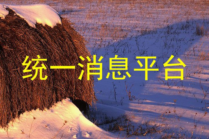 统一消息平台