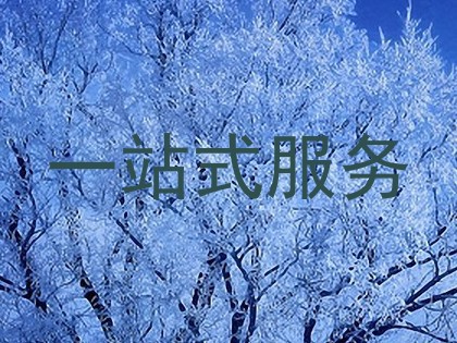 一站式服务