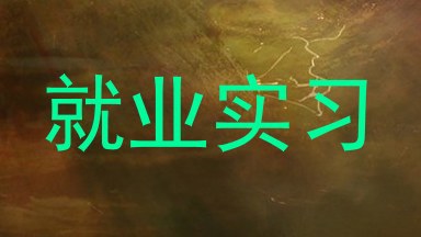 就业实习