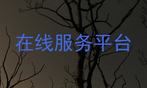 在线服务平台