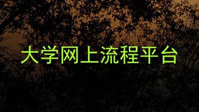 大学网上流程平台