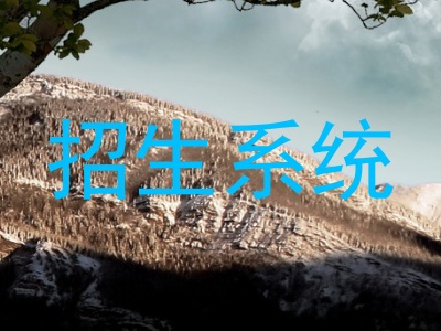 招生系统