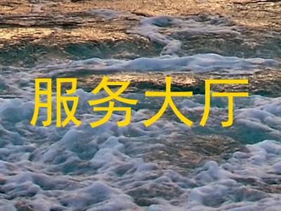 服务大厅