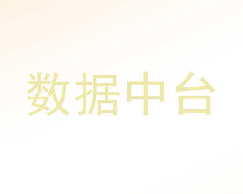 数据中台