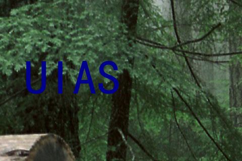UIAS