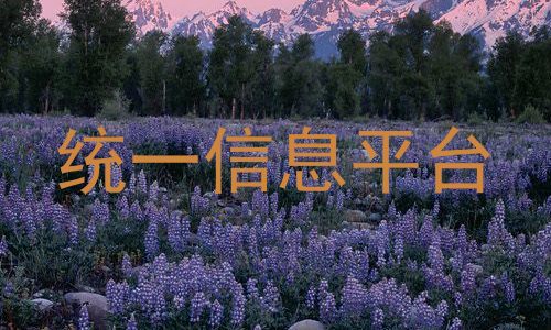 统一信息平台