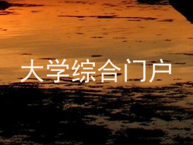 大学综合门户