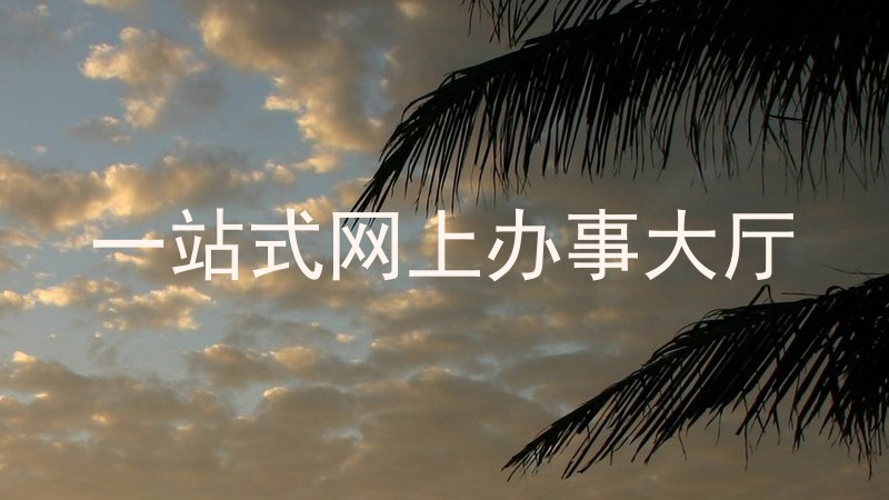 一站式网上办事大厅