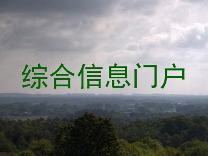 综合信息门户