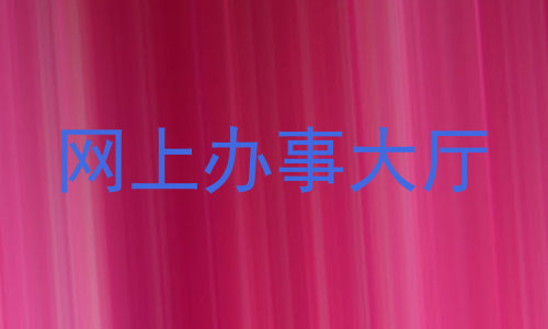 网上办事大厅