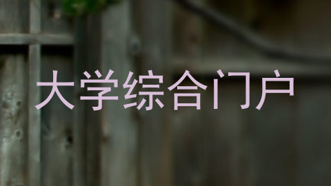 大学综合门户