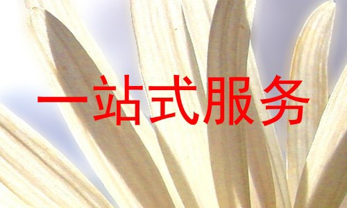 一站式服务