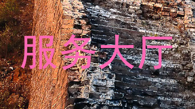服务大厅